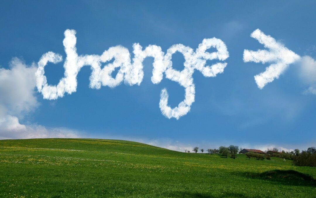 Changemaker for Social Innovation and Social Impact