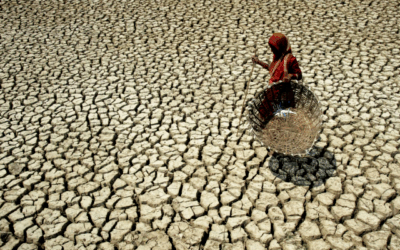 What Makes South Asian Countries Vulnerable To Climate Change