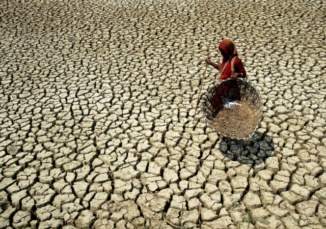 What Makes South Asian Countries Vulnerable To Climate Change